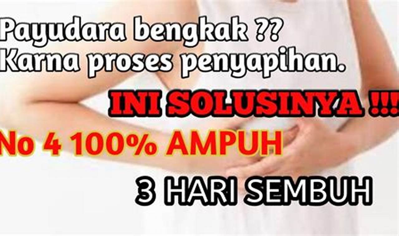 Cara Mengatasi Payudara Kecil: Panduan Lengkap